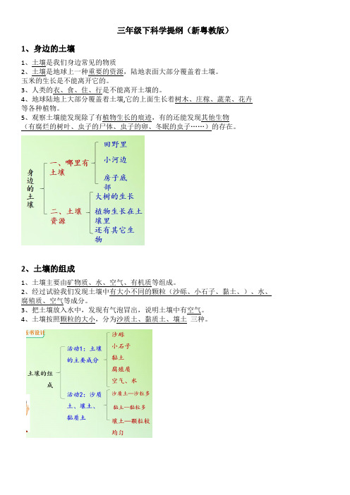 三年级下科学提纲(新教材)