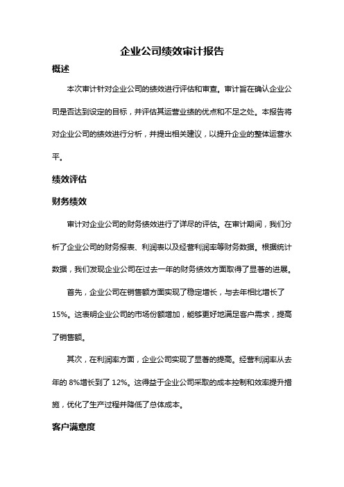 企业公司绩效审计报告