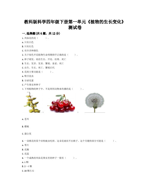 教科版科学小学四年级下册第一单元《植物的生长变化》综合复习试题