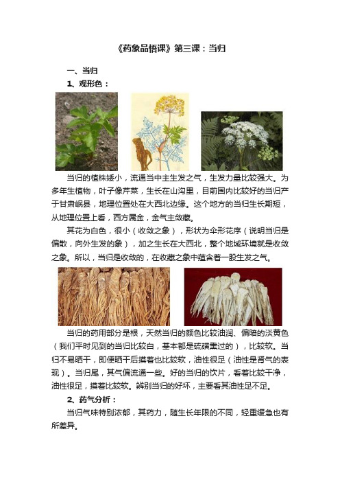 《药象品悟课》第三课：当归