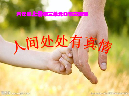 六年级上册语文课件-语文百花园三 口语交际 人间处处有真情｜语文S版 (共15张PPT)