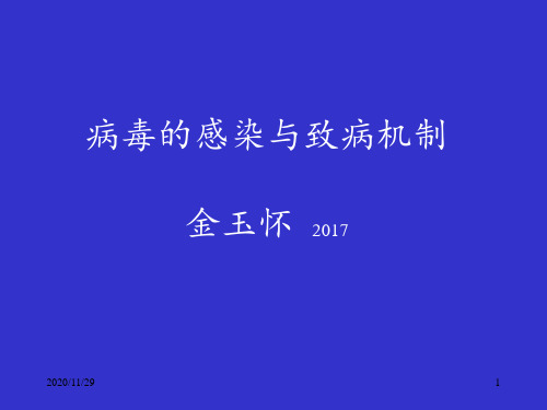 病毒的感染与致病机制 ppt课件