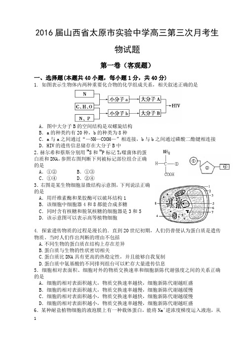 2016届山西省太原市实验中学高三第三次月考生物试题