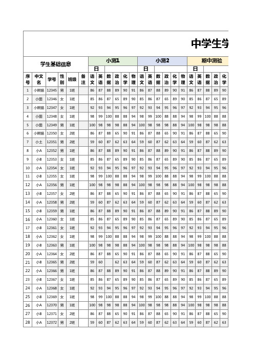 中小学期中期末成绩自动化排名EXCEL模板