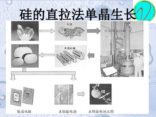 硅的直拉法单晶生长