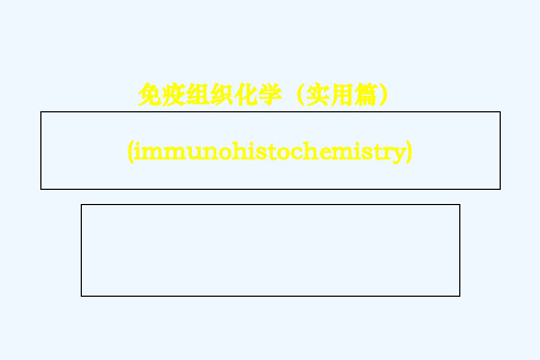 免疫组化技术实用篇