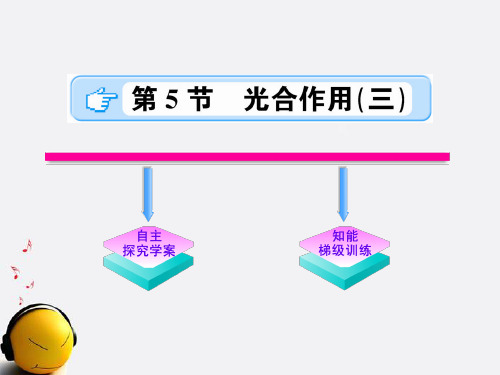 八年级科学下册 2.5.3《光合作用》课件 浙教版