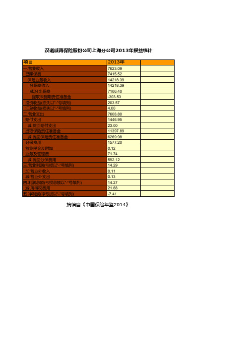 汉诺威再保险股份公司上海分公司损益统计(2013)