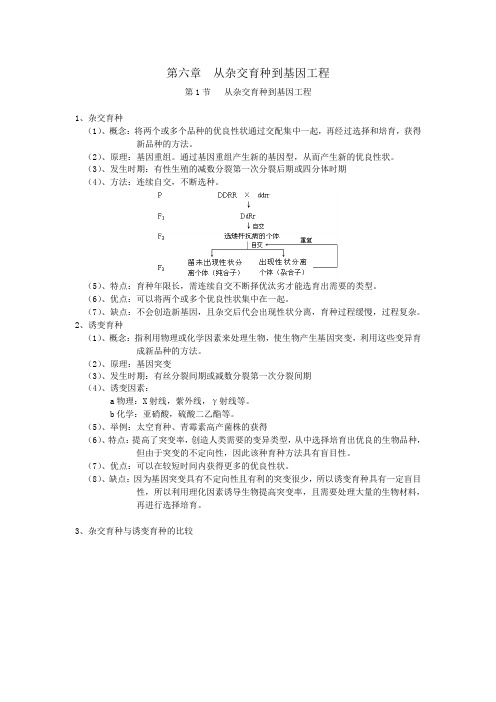 《从杂交育种到基因工程》学案