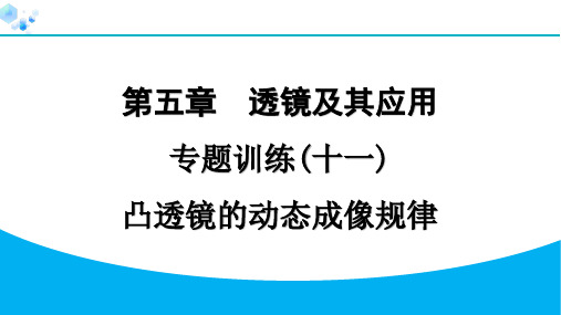 八年级上册物理【课后练】专题训练(十一) 凸透镜的动态成像规律