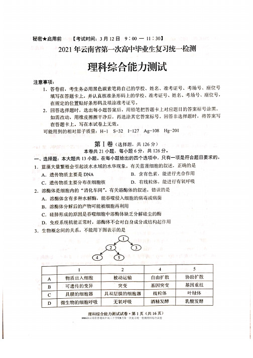 2021届云南省普通高中高三下学期3月第一次复习统一检测(一模)理科综合试卷及答案