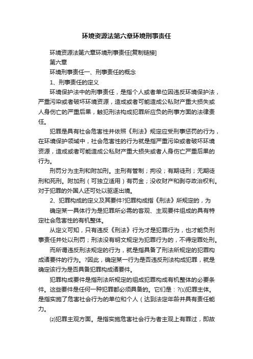 环境资源法第六章环境刑事责任