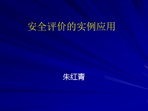 安全评价的应用实例(PPT55页)