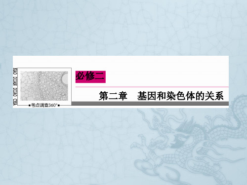 高考生物一轮复习 2.2+3 基因在染色体上 伴性遗传课件 新人教版必修2