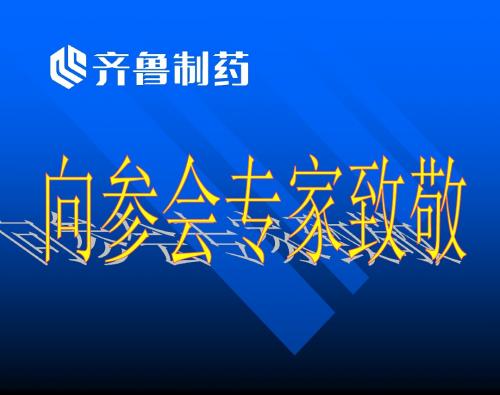 方克演示稿(新稿)