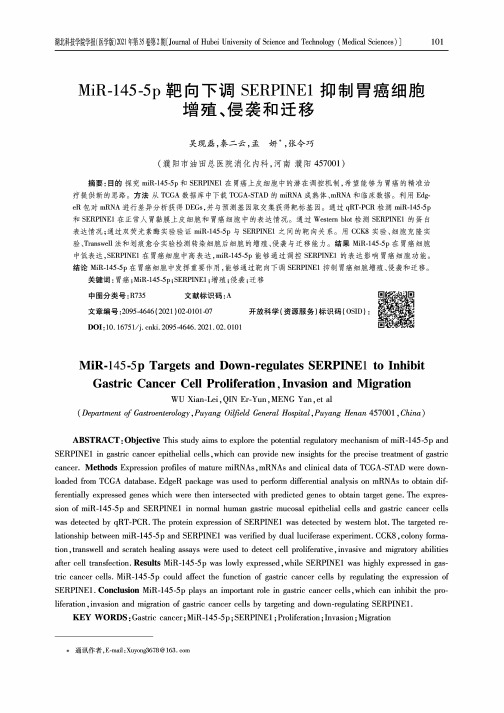 MiR-145-5p靶向下调SERPINE1抑制胃癌细胞增殖、侵袭和迁移