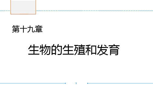 初中生物北京版八年级上册第二节 动物的生殖和发育