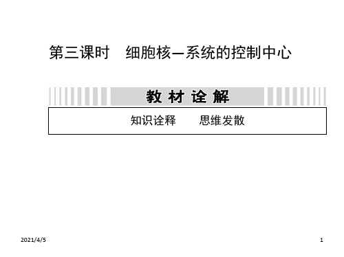 高三一轮复习23细胞核—系统的控制中心