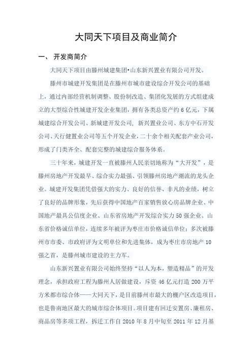 大同天下项目及商业简介