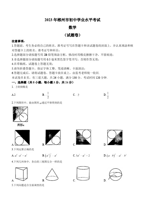 2023年湖南省郴州市数学中考真题