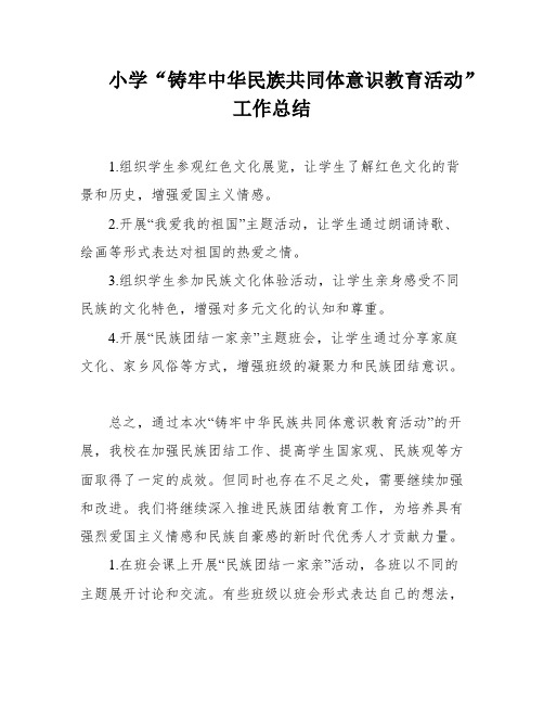 小学“铸牢中华民族共同体意识教育活动”工作总结