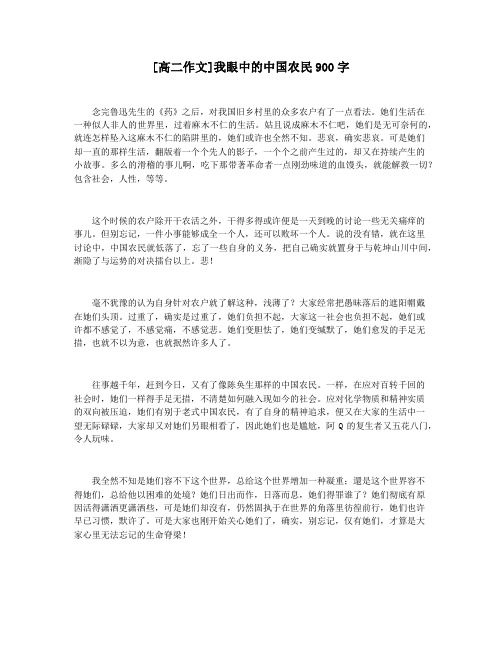 [高二作文]我眼中的中国农民900字