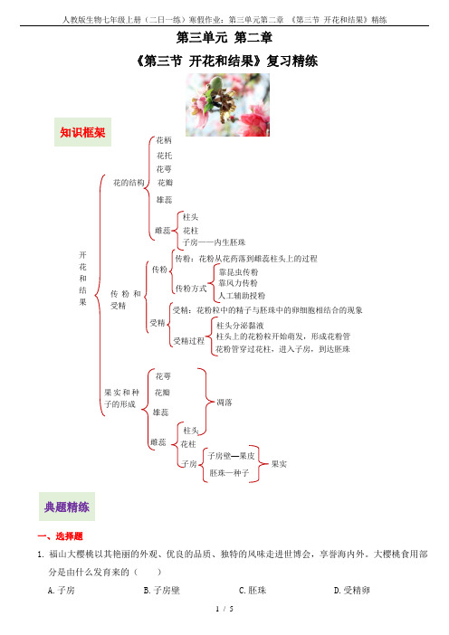 人教版生物七年级上册(二日一练)寒假作业：第三单元第二章 《第三节 开花和结果》精练