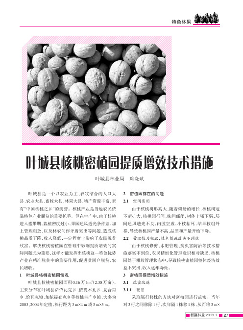叶城县核桃密植园提质增效技术措施