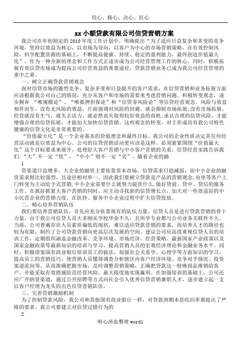 xx小额贷款有限公司信贷营销方案