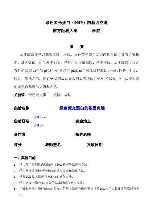 南方医科大学分生实验-绿色荧光蛋白(EGFP)的基因克隆