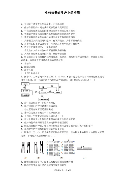 浙科版必修二   生物变异在生产上的应用   作业