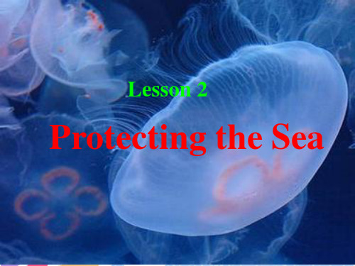 Unit7lesson 2 Protecting the Sea