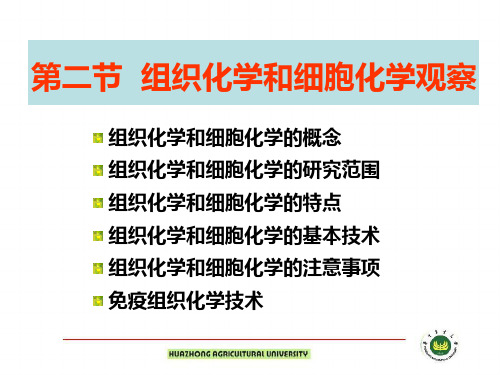 《兽医病理诊断技术》课件：第七章 第二节 组织化学和免疫组化