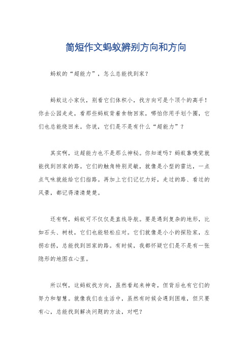 简短作文蚂蚁辨别方向和方向