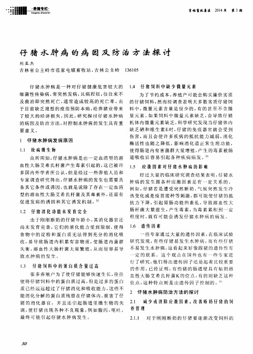 仔猪水肿病的病因及防治方法探讨
