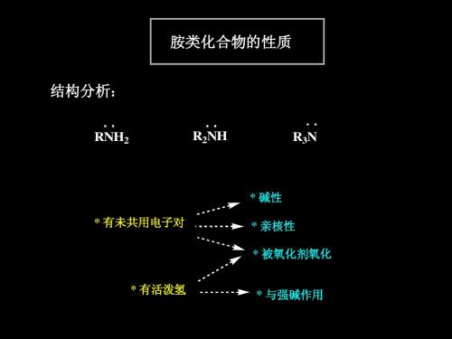 第十四章 胺2——复旦大学有机化学课件