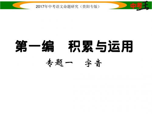 中考语文命题研究(贵阳专版)课件 第一编  精练专题一 