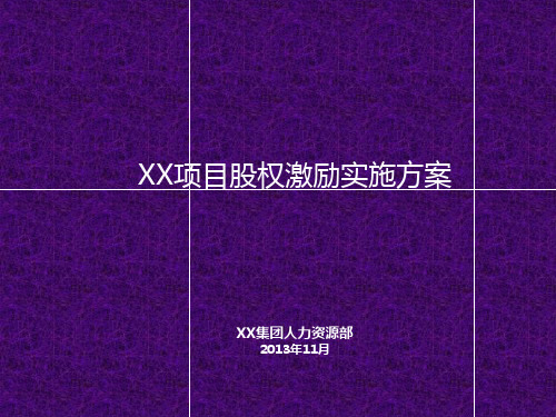 XX项目长期激励方案