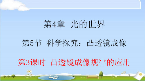 2024年秋新教科版物理八年级上册课件 第四章 在光的世界里 4.5.3 凸透镜成像规律的应用