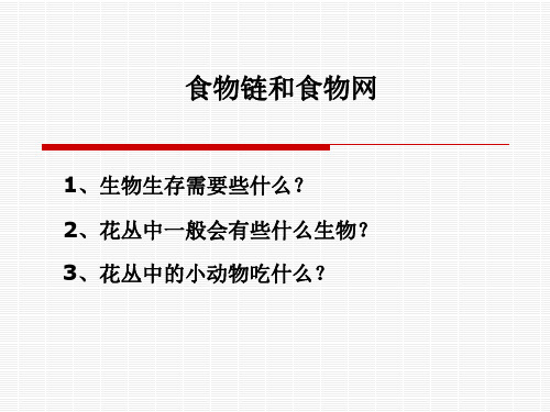 教科版小学科学五年级上册第一单元《食物链和食物网》课件