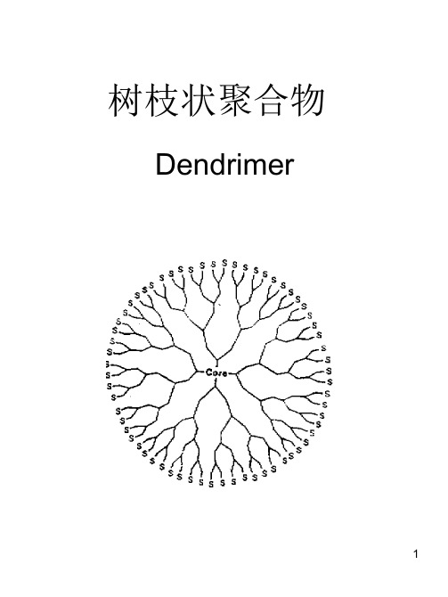 树枝状聚合物PPT课件
