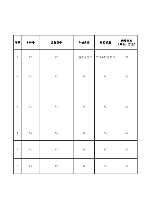 公司车辆信息统计表