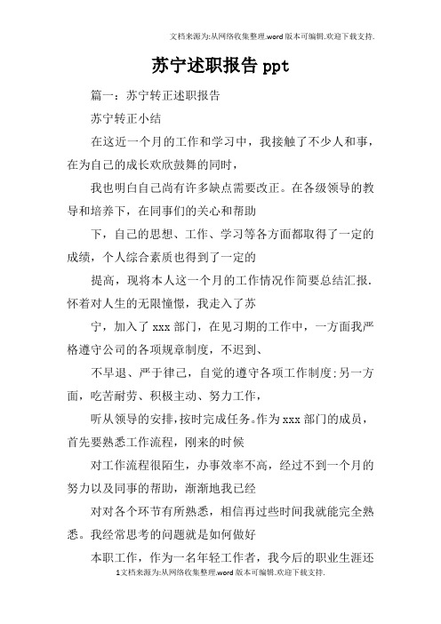 苏宁述职报告ppt