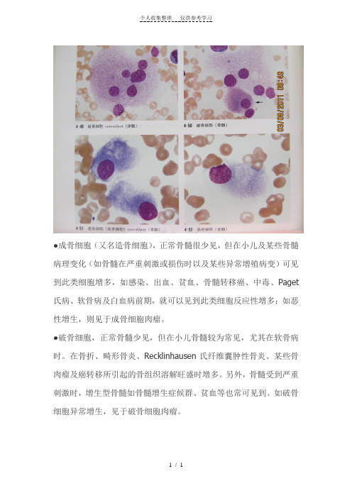 成骨细胞