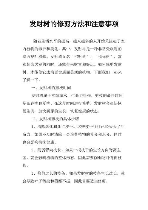 发财树的修剪方法和注意事项