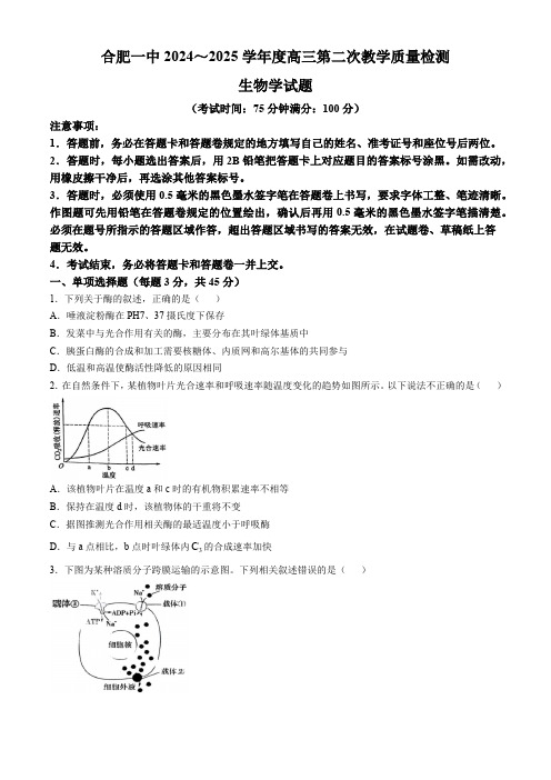 安徽省十联考合肥市第一中学2025届高三上学期第二次教学检测生物