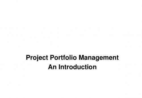 项目组合管理Project Portfolio Management An Introduction