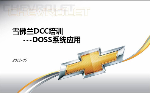 5.DOSS工具的使用和演练教程