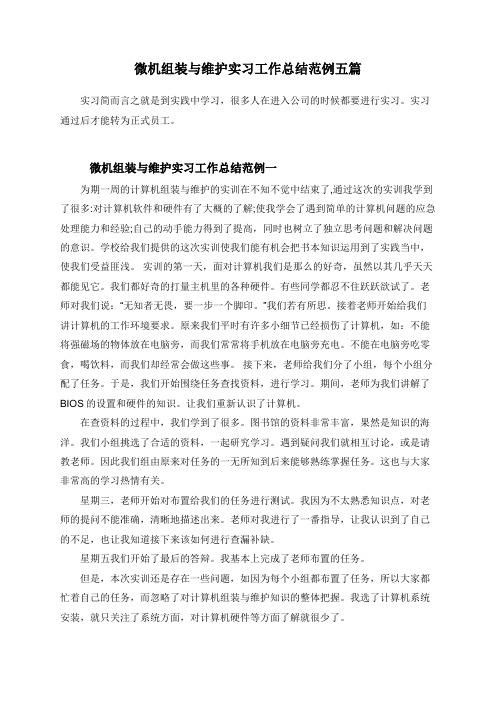 微机组装与维护实习工作总结范例五篇