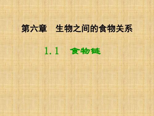 江苏省初中七年级生物上册 6.1 食物链教学名师优质课件 苏科版